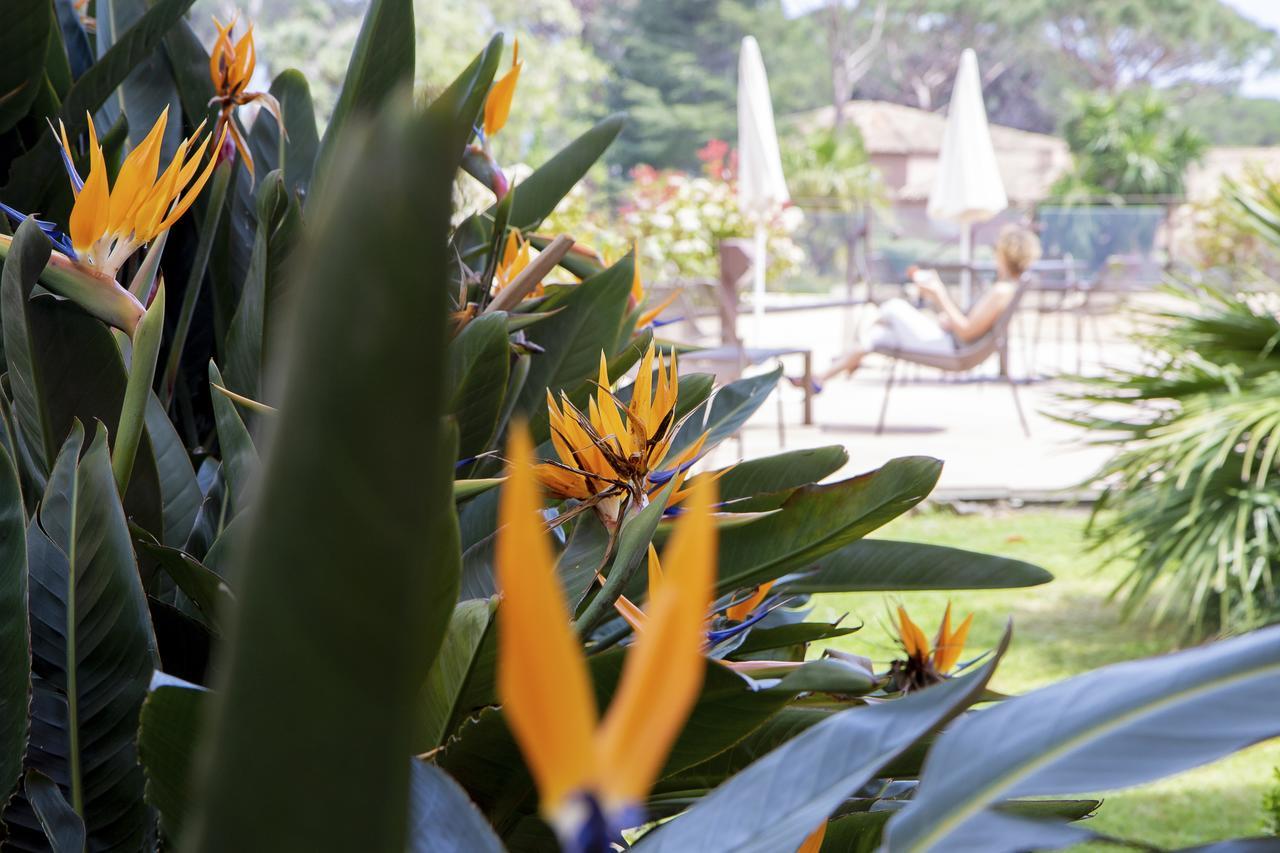 Hotel Les Jardins De Sainte-Maxime Luaran gambar